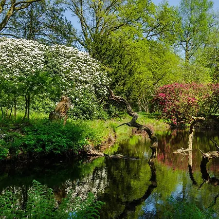 Schlossblick Hage